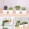14 Pcs Realistic Mini Artificial Succulents – Unpotted Textured Faux Small Potted Plant Style Greenery for DIY Crafting, Home, Wall, Garden & Office Decor